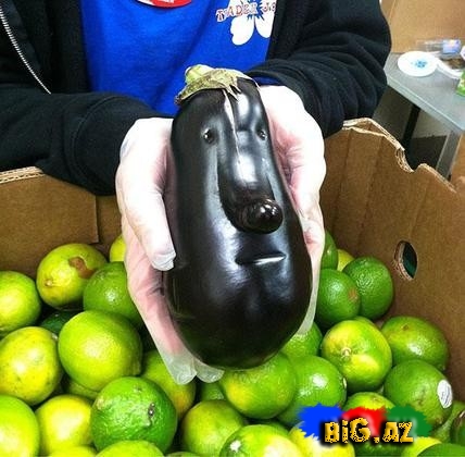 Qəribə formaya malik meyvə və tərəvəzlər - FOTO