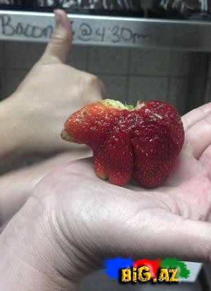 Qəribə formaya malik meyvə və tərəvəzlər - FOTO