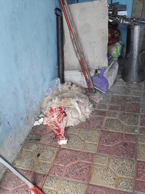 AQTA bu şəxslərə sonuncu xəbərdalıq etdi - Fotolar