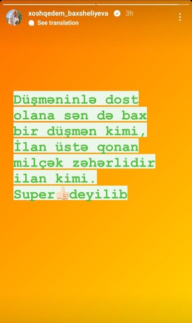 Xoşqədəmdən ATMACA: "İlanın üstünə qonan milçəklər…" - FOTO