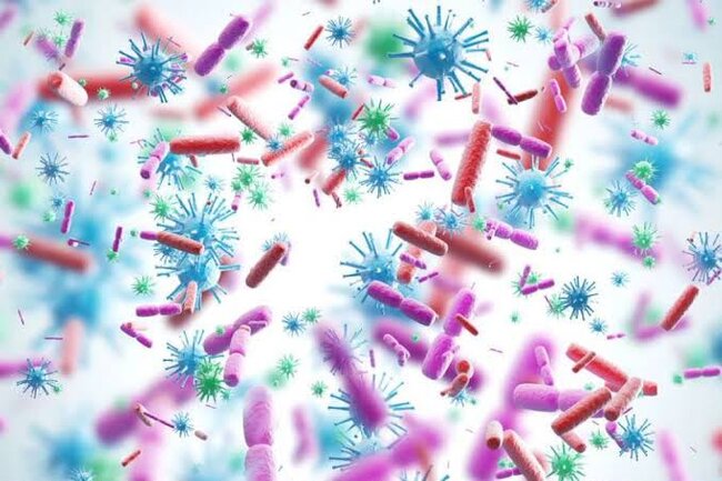 Yeni virus aşkarlandı - Bu əlamətlərlə özünü göstərir
