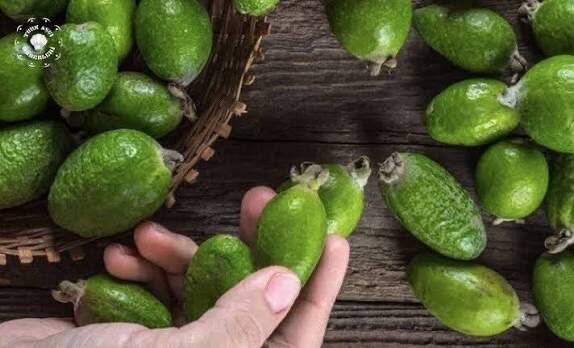 Bu meyvə təzyiqin azalmasına kömək edir