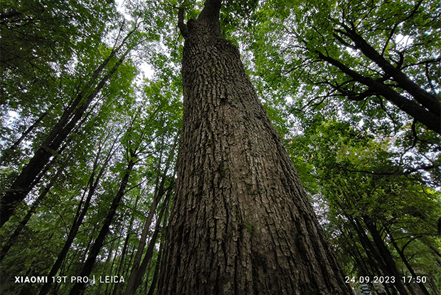 Vau-effekti! Xiaomi 13T smartfonuna dair qısa icmal