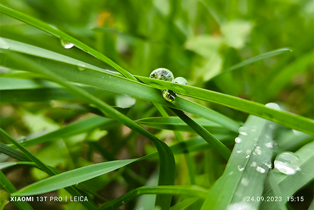 Vau-effekti! Xiaomi 13T smartfonuna dair qısa icmal