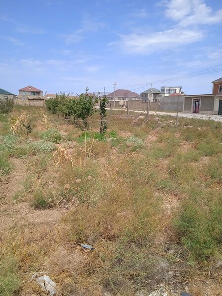 "Azərsu"nun əməkdaşı Hacı Arif Qarabağ əlilinin torpağını zəbt edib - ŞİKAYƏT