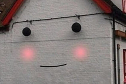 Dünyanın hər yerindən olan insanlar öz evlərində "yadplanetlilər"i görməyə başlayıblar - FOTOLAR