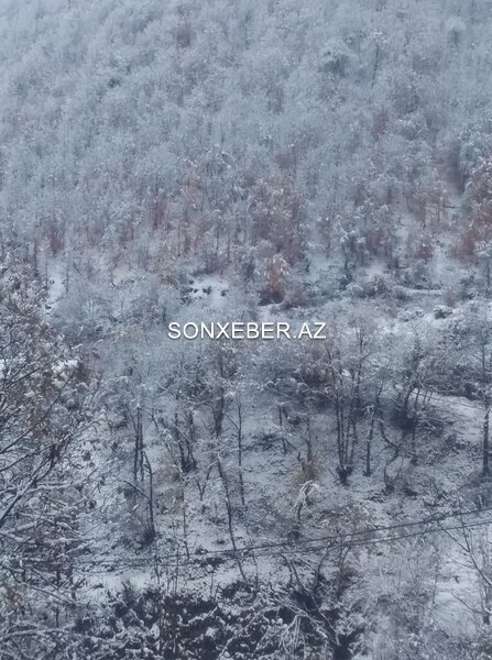 Astara ağ örpəyə büründü - FOTOLAR