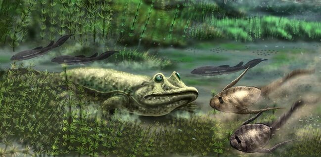 Təkamül nəzəriyyəsini TƏKZİB EDƏN varlıq tapıldı - FOTO