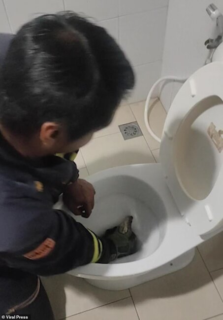 Oturduğu unitazdan iki metrlik İLAN ÇIXDI - FOTO-VİDEO