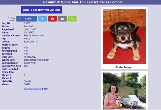 İtkin düşən it 11 il sonra evinə qayıtdı - FOTO