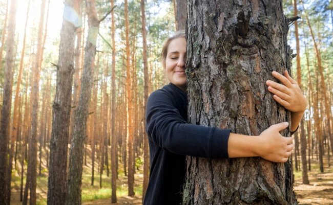 Dendroterapiya nədir?