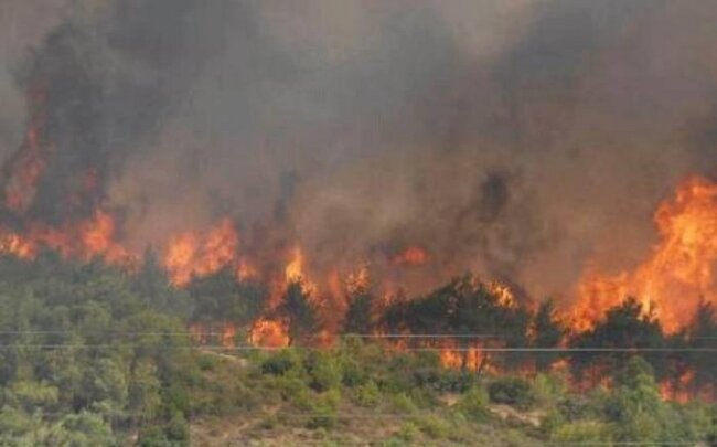 Ağsuda dağlıq ərazidə yanğın söndürülüb