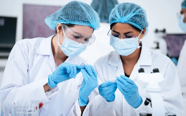 Alimlər qidalana bilən sintetik hüceyrə yaradıb - Elmdə ilk
