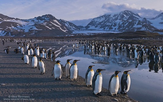 Antarktida haqqında ən MARAQLI FAKTLAR