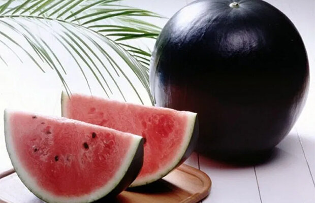 Dünyanın ən bahalı qidalarının qiyməti - ONLARI ANCAQ VARLILAR YEYİR - FOTOLAR