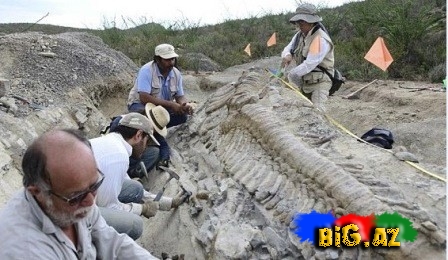 Yetmiş milyon illik dinozavr tapıldı - FOTO