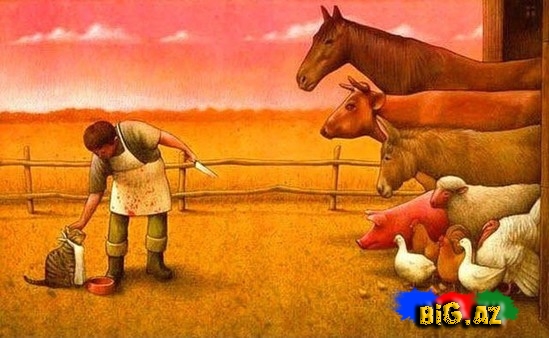 Bu şəkillər insanları düşündürür - FOTO