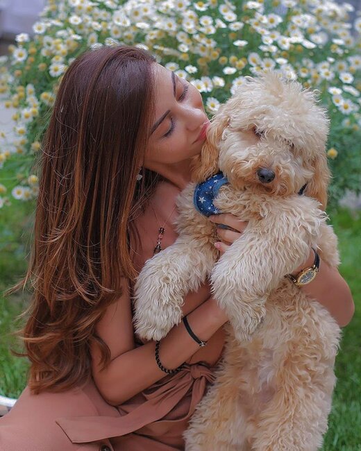 Aysel Əlizadə qısa ətəkdə - FOTOLAR