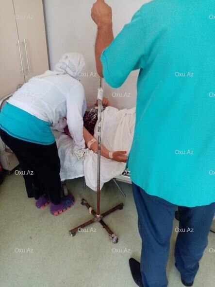 Bərdədə iki qadını ilan sancdı - FOTO