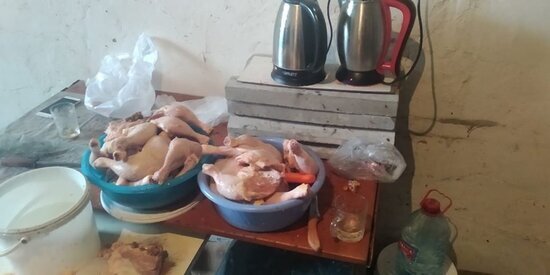 Azərbaycanda dönərxanalara yararsız toyuq əti paylayan müəssisənin fəaliyyəti məhdudlaşdırılıb