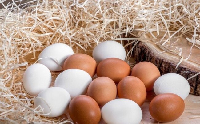 Assosiasiya sədri: "Yumurta istehsalçıları ciddi ziyana uğrayırlar"