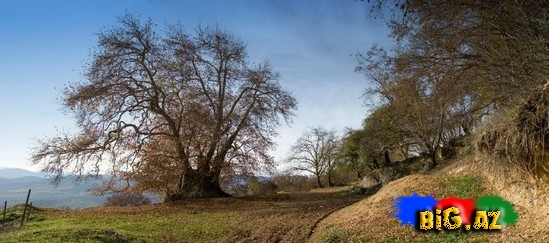 Qarabağın yeni şəkilləri - FOTO