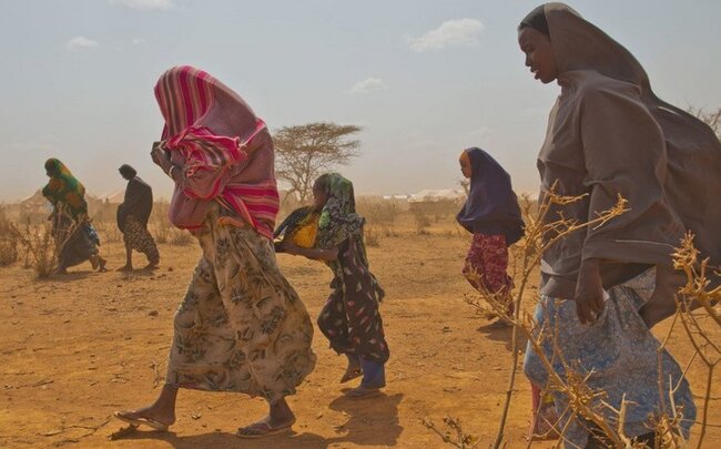 BMT Somali yarımadasında 22 milyon sakin üçün aclıq təhlükəsi elan edib