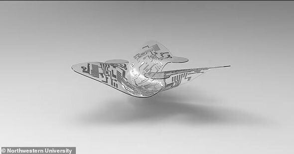 Ən kiçik ölçülü uçan mikroçiplər yaradıldı - FOTO
