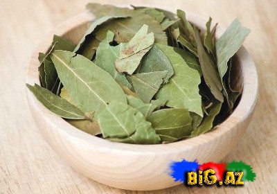 Dəfnə yarpağının nadir müalicəvi xüsusiyyətləri