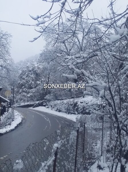 Astara ağ örpəyə büründü - FOTOLAR