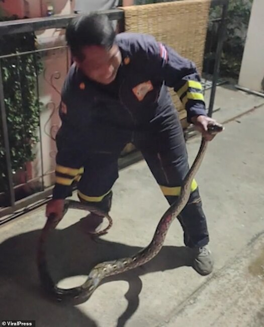 Oturduğu unitazdan iki metrlik İLAN ÇIXDI - FOTO-VİDEO