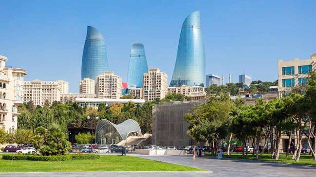 Bakıda insanlar təşviş içində - küçəni bürüyən bu canlılar nədir? - VİDEO