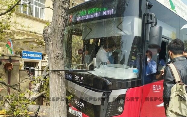 "BakuBus"un avtobusu ağaca çırpıldı: Xəsarət alanlar var - FOTO