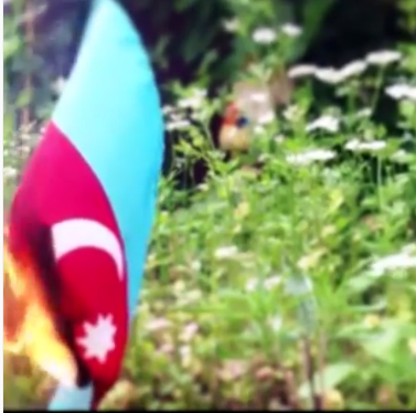 Erməni alçaqları bayrağımızı yandırıb, kül etdi - VİDEO