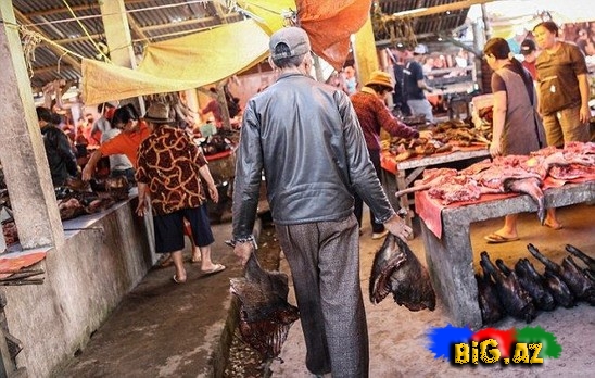 İlan şorbası, siçovul turşusu, tısbağa kababı - DƏHŞƏT - FOTO