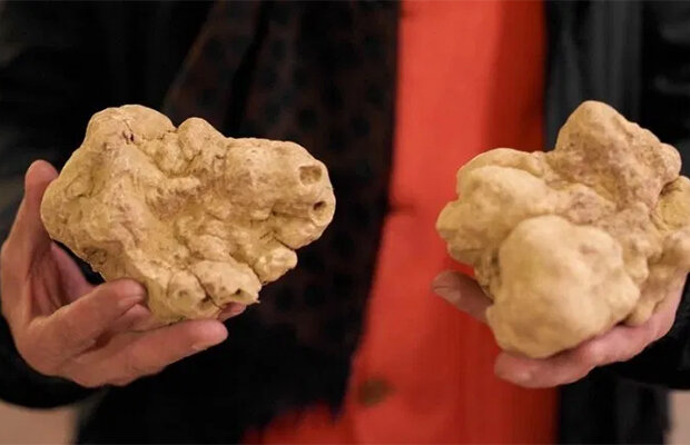 Dünyanın ən bahalı qidalarının qiyməti - ONLARI ANCAQ VARLILAR YEYİR - FOTOLAR