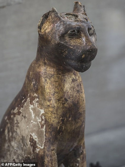 6 min illik pişiyin mumyası tapıldı - FOTOLAR