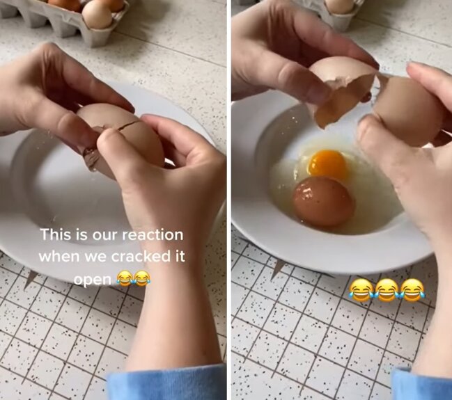 Nəhəng yumurtanın içindən GÖRÜN NƏ ÇIXDI - FOTO-VİDEO