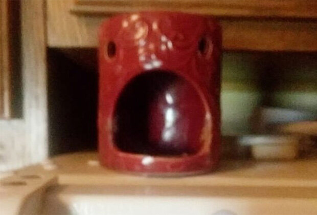 Dünyanın hər yerindən olan insanlar öz evlərində "yadplanetlilər"i görməyə başlayıblar - FOTOLAR