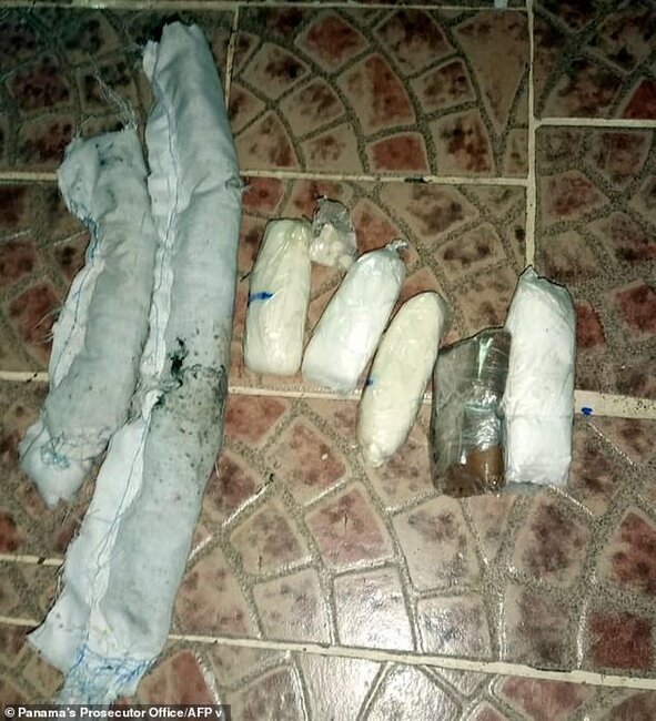 Həbsxanaya narkotik daşıyan PİŞİYİN üstündən görün nələr çıxdı - FOTO