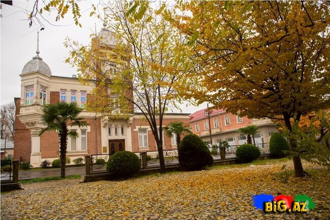 Lənkəranın zəfər ətirli qızılı payızından FOTOREPORTAJ