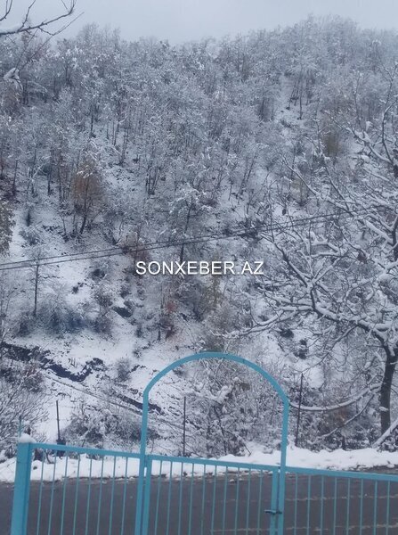 Astara ağ örpəyə büründü - FOTOLAR