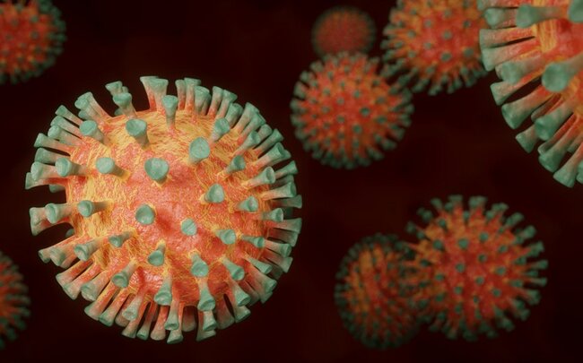Koronavirusun təhlükəli "omikron" ştamı daha bir ölkədə aşkarlanıb
