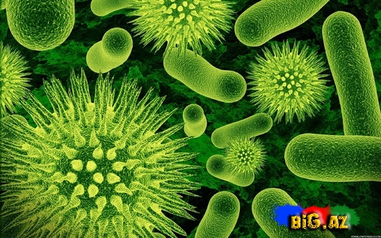 Azərbaycanda təhlükəli virusla baglı vəziyyət açıqlandı