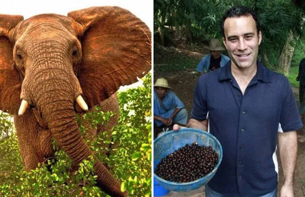 Dünyanın ən bahalı qidalarının qiyməti - ONLARI ANCAQ VARLILAR YEYİR - FOTOLAR