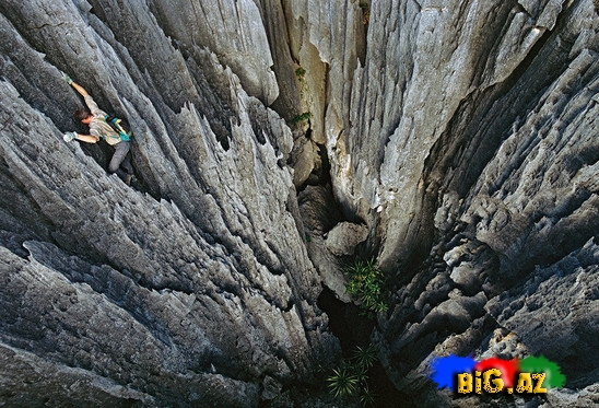 Geoloji möcüzə. Daş Meşə - FOTO