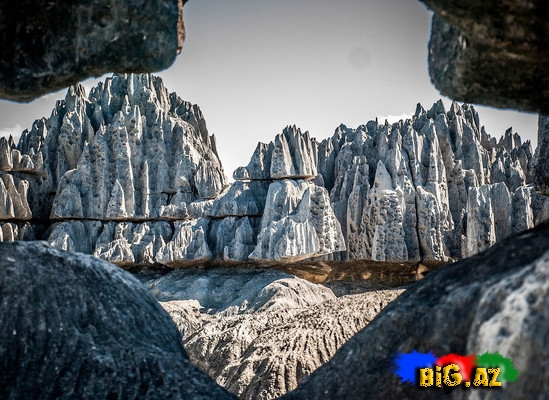 Geoloji möcüzə. Daş Meşə - FOTO