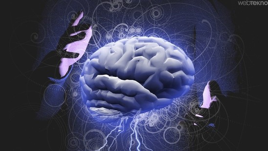 Beyin haqqında az bilinən 10 maraqlı FAKT - FOTO