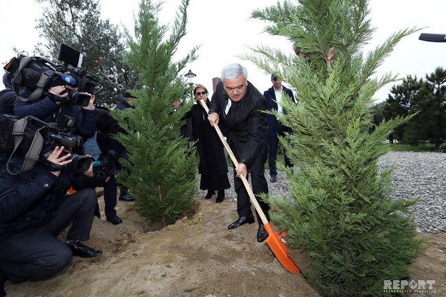 SOCAR rəhbərliyi həlak olmuş və itkin düşmüş neftçilərin xatirəsinə 33 ağac əkib