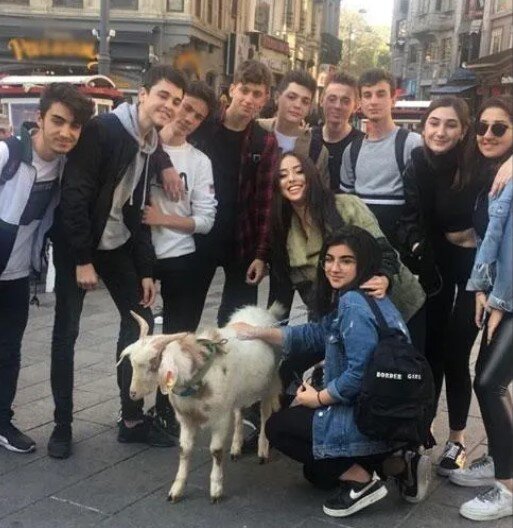 Məşhur aktrisa küçədə keçi gəzdirdi - FOTOLAR